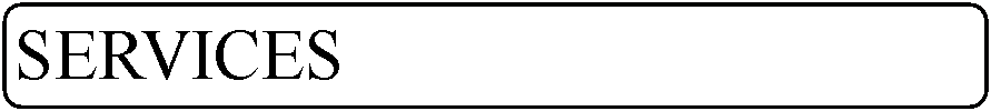 Rounded Rectangle: SERVICES 