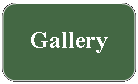 Rounded Rectangle: Gallery